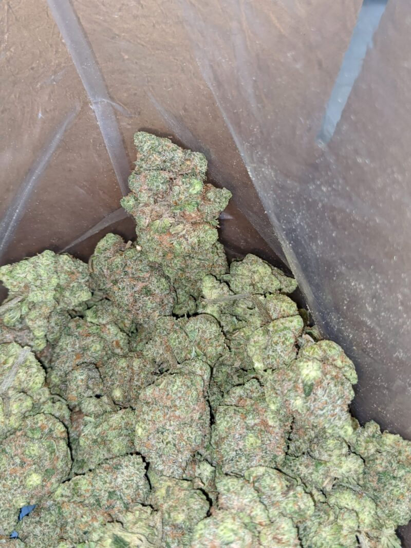 Green Goblin - Image 4
