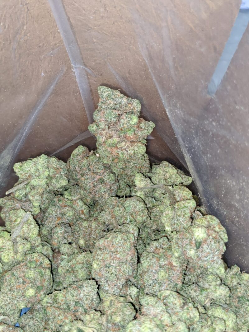 Green Goblin - Image 7