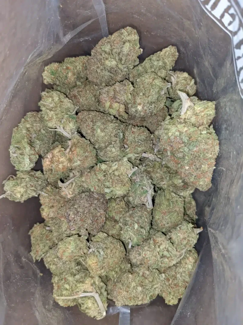 Green Nuken - Image 5