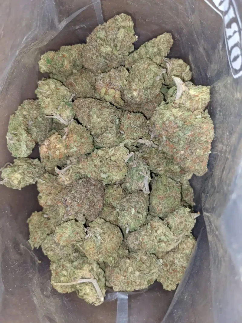 Green Nuken - Image 4