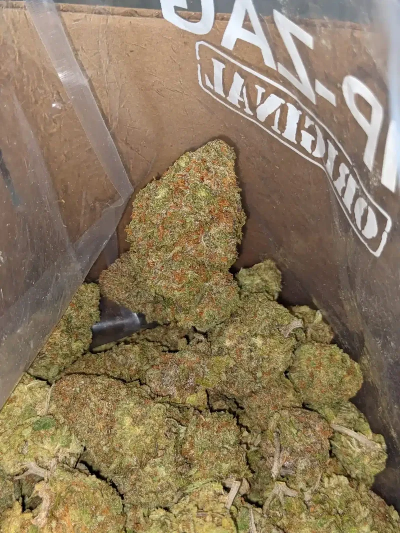 Green Nuken - Image 7