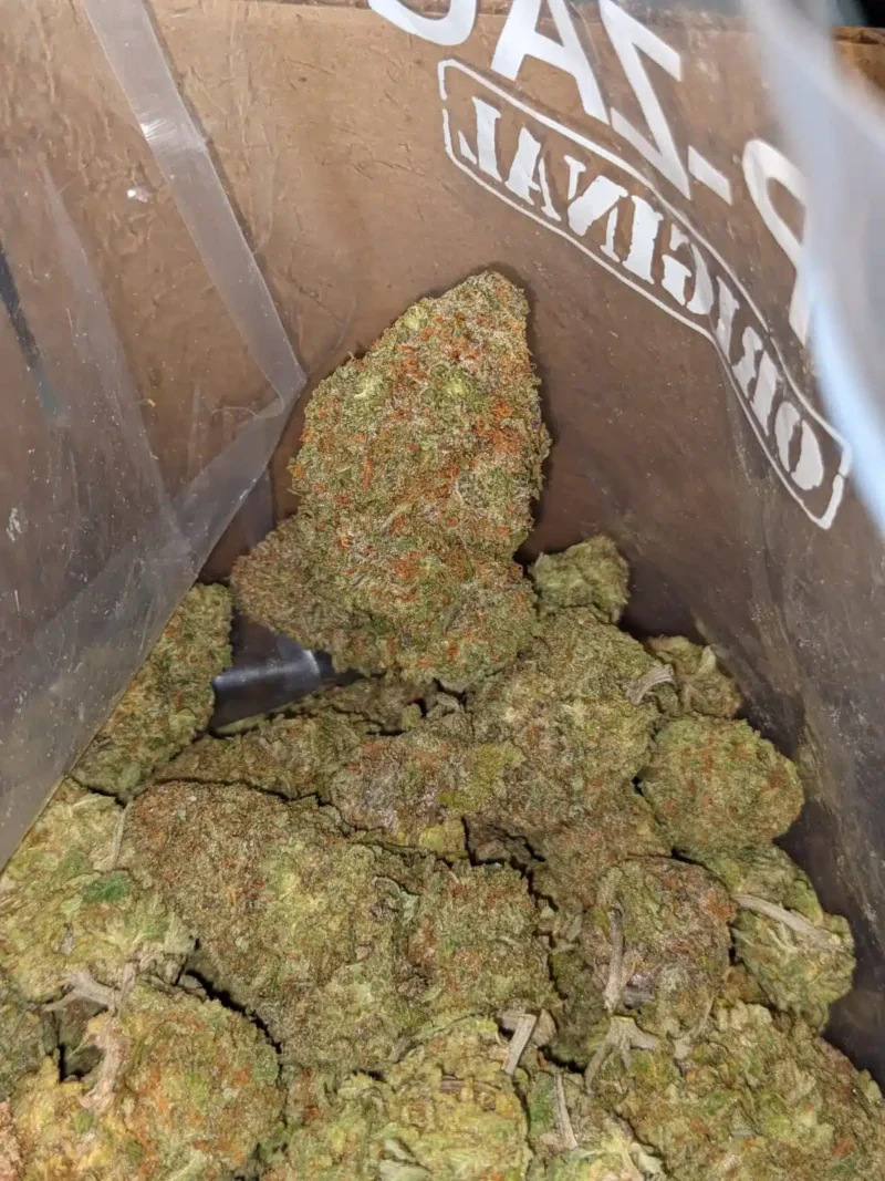Green Nuken - Image 6
