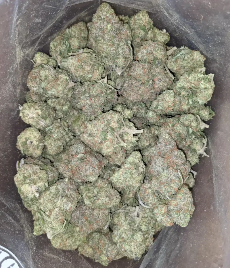 Greenfarm’s Animal Cookies - Image 4