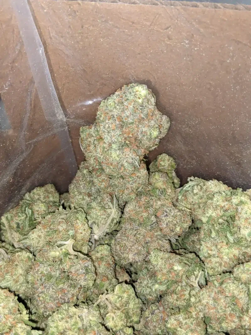 Greenfarm’s Animal Cookies - Image 6