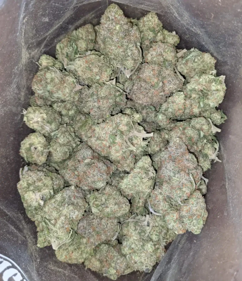 Greenfarm’s Animal Cookies - Image 5