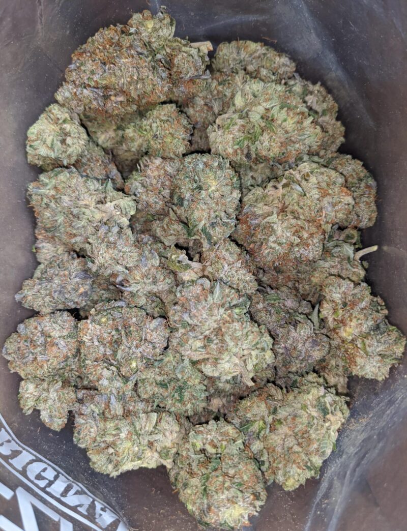 Greenfarm’s Death Bubba - Image 4