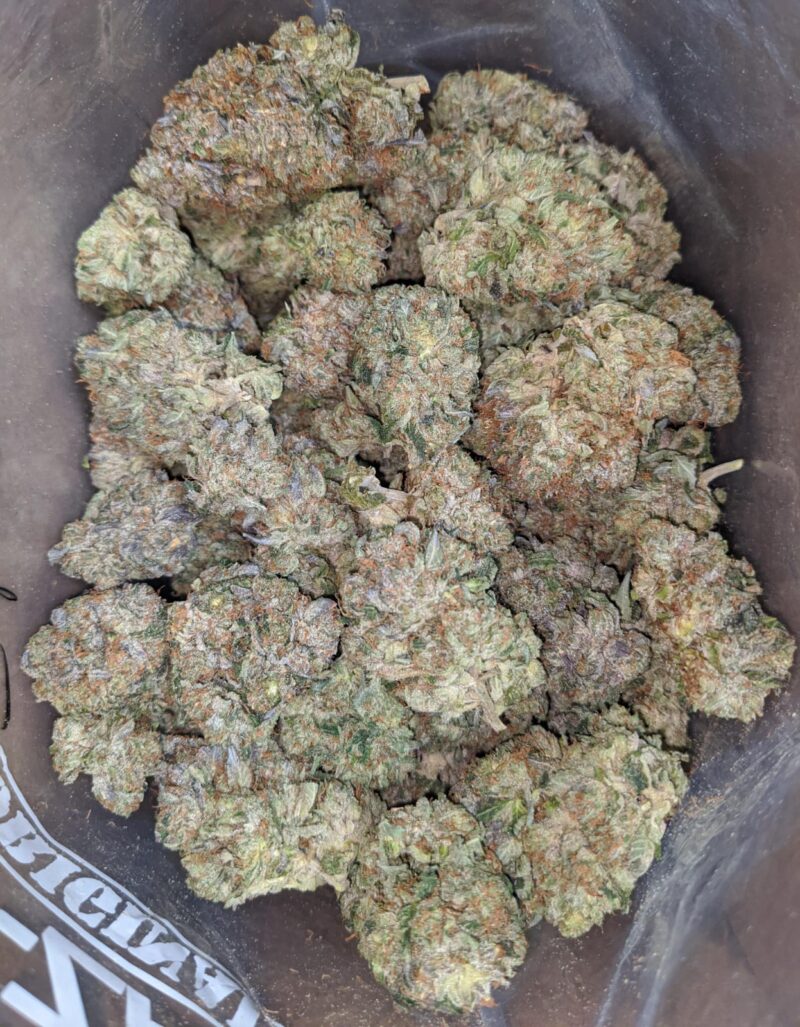 Greenfarm’s Death Bubba - Image 5