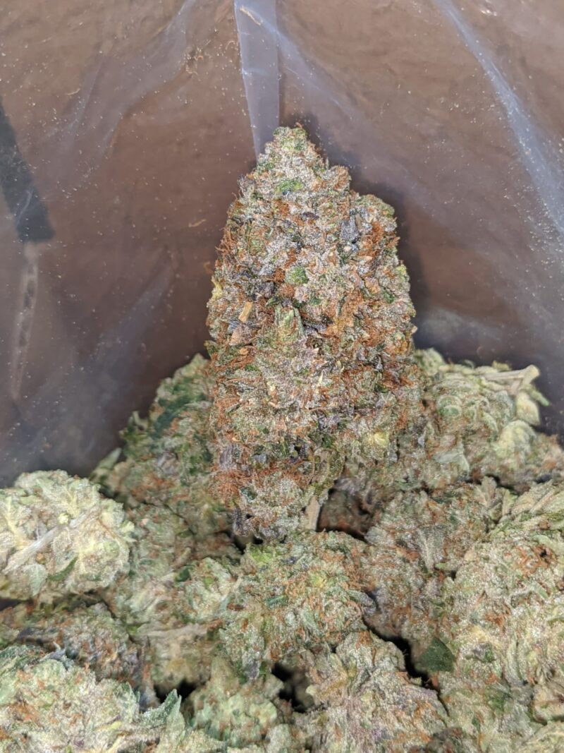 Greenfarm’s Death Bubba - Image 7