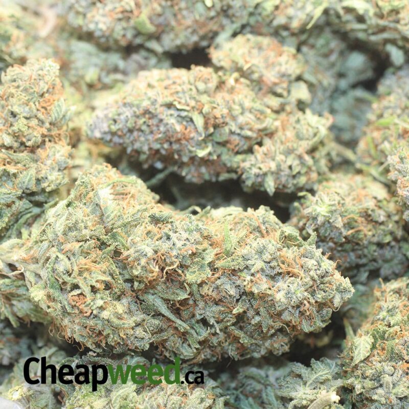 $ 59 Oz – Purple Bubba - Image 3
