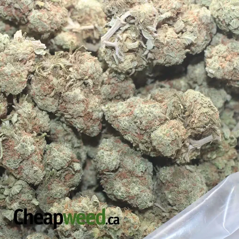 Headband - Image 3