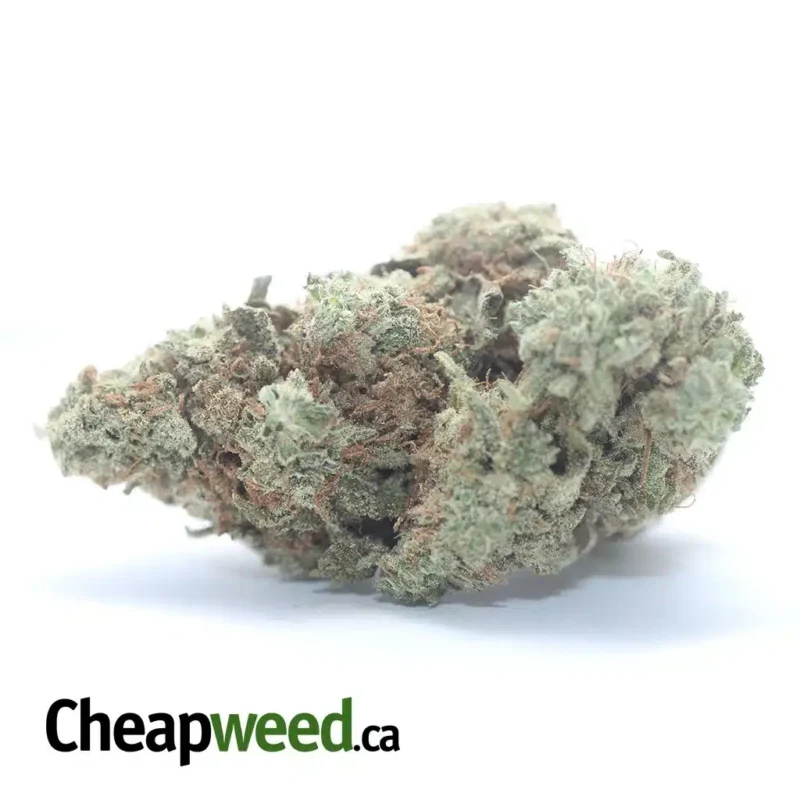 Headband