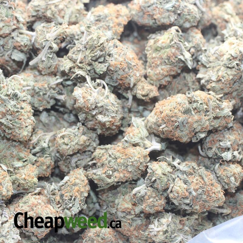 Headband OG - Image 3