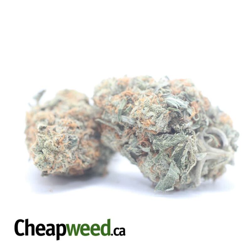 Headband OG - Image 2