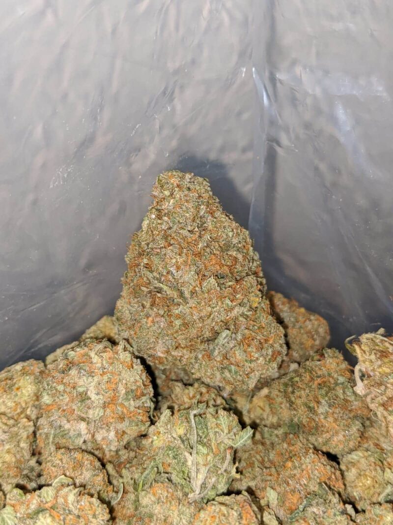 High Octane X Jetfuel - Image 5