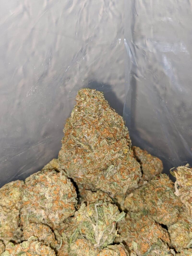 High Octane X Jetfuel - Image 4
