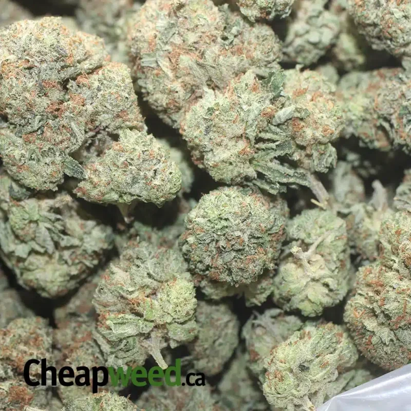 Hindu Kush - Image 3