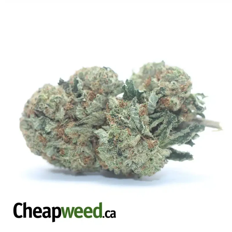 Hindu Kush