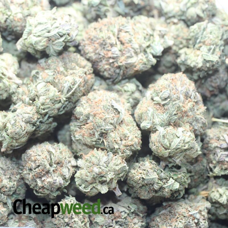 Hippie Crippler - Image 3