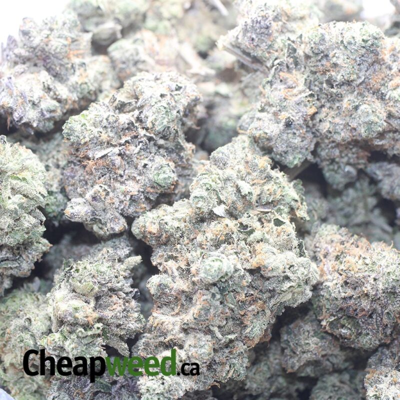 Holy Grail - Image 3