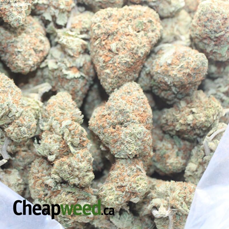 Huckleberry - Image 3