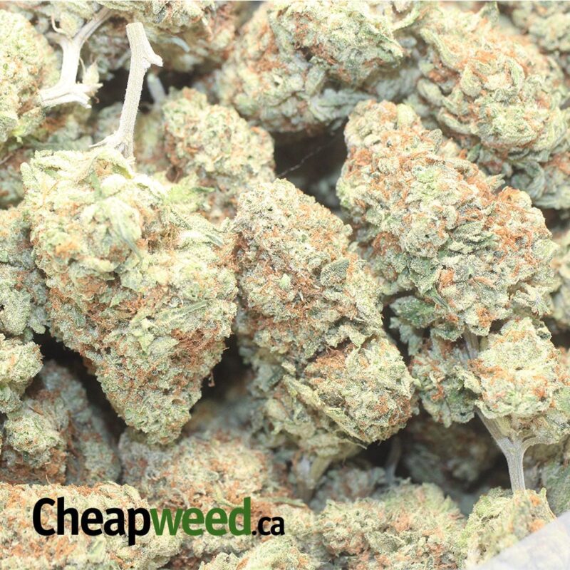 $ 66 Oz – Huckleberry - Image 3