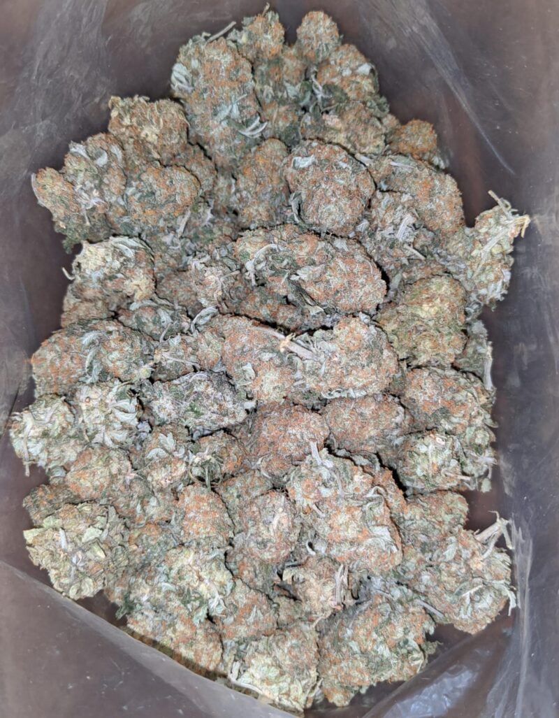 Headband OG - Image 7