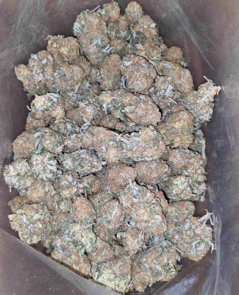 Headband OG - Image 6