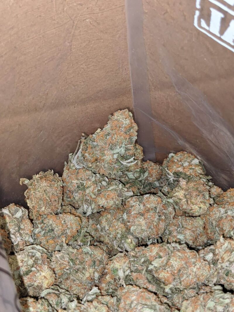 Headband OG - Image 5