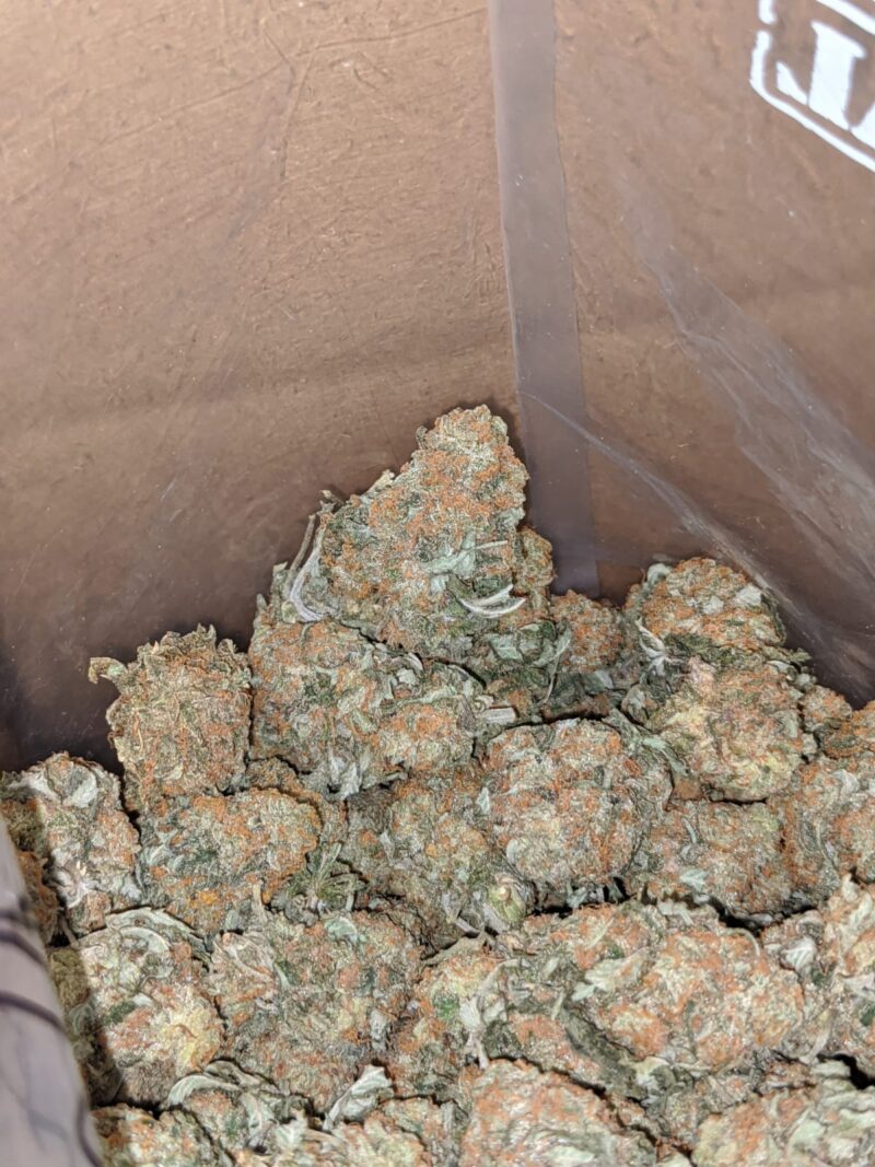 Headband OG - Image 4