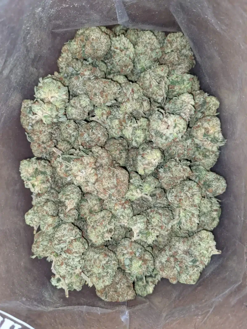 Hindu Kush - Image 5