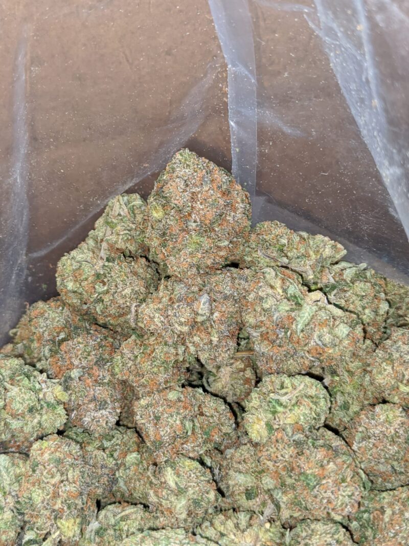 Hindu Kush #2 - Image 7