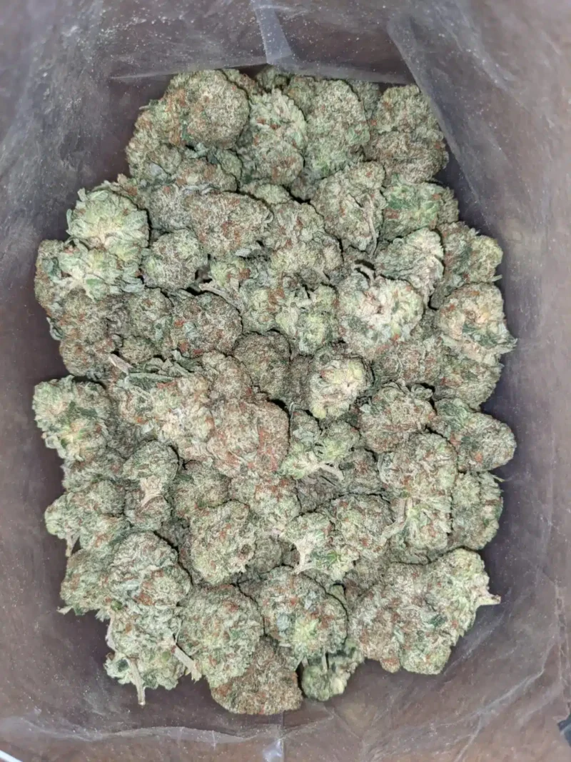 Hindu Kush - Image 4
