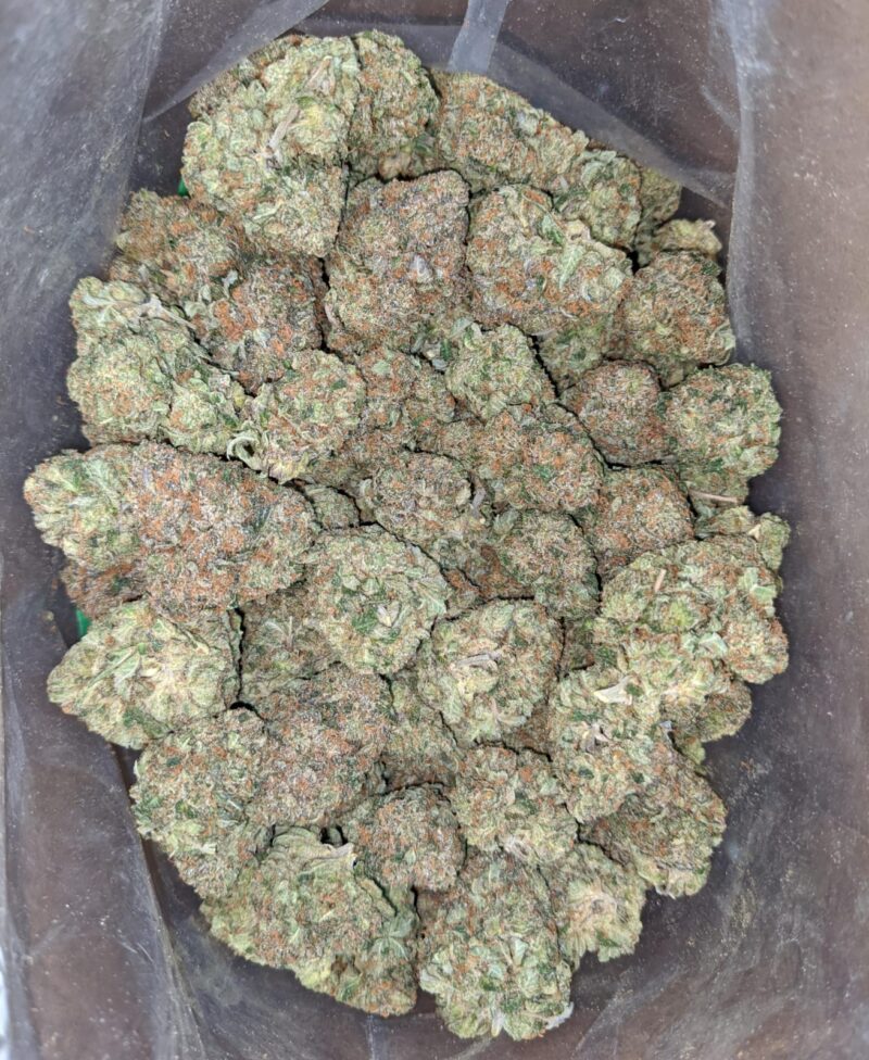Hindu Kush #2 - Image 5