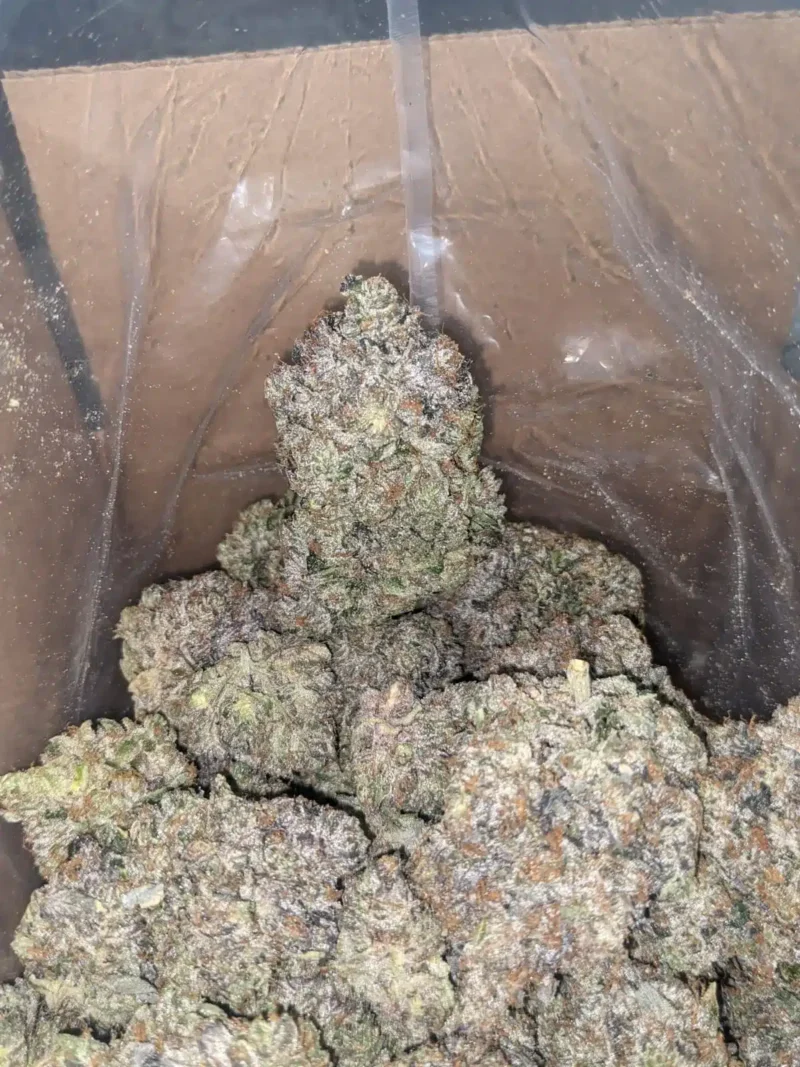Holy Grail - Image 7