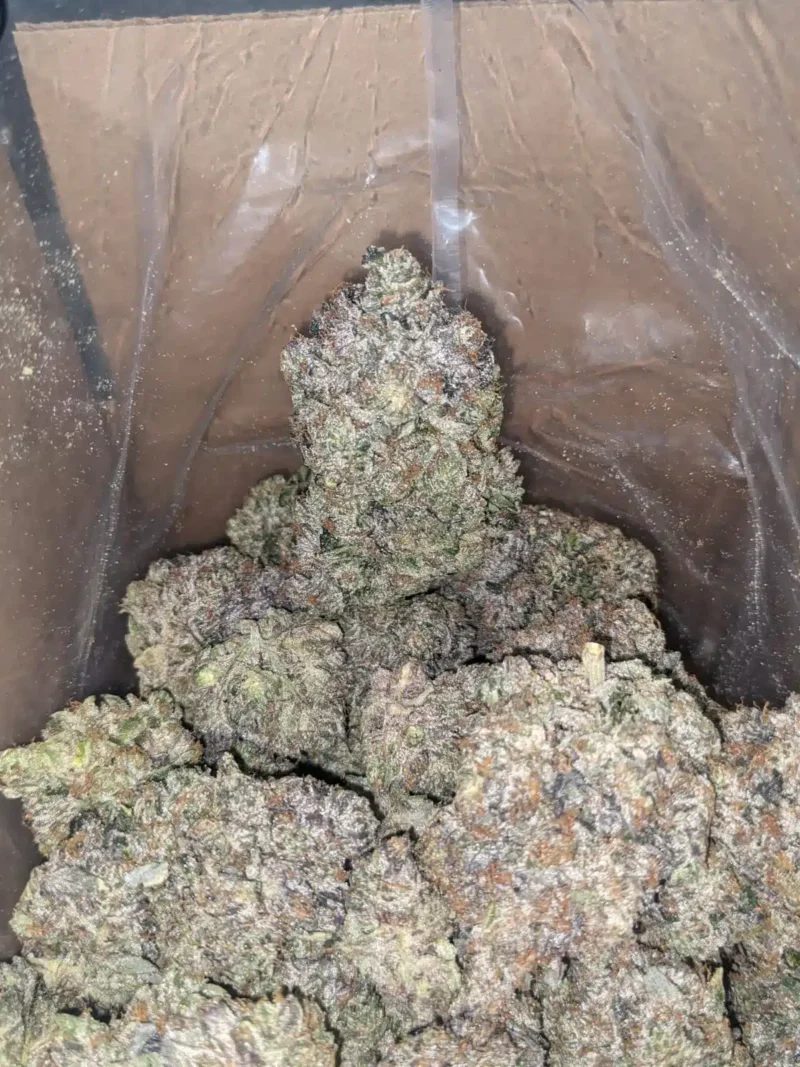 Holy Grail - Image 6