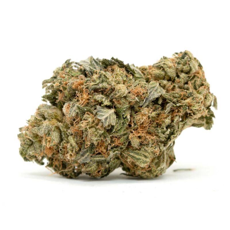 Holy Grail