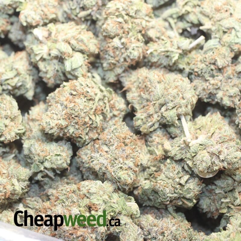 Ice Kush - Image 3