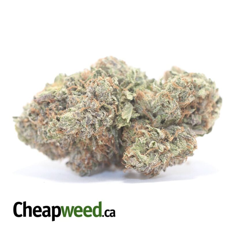 Ice Kush