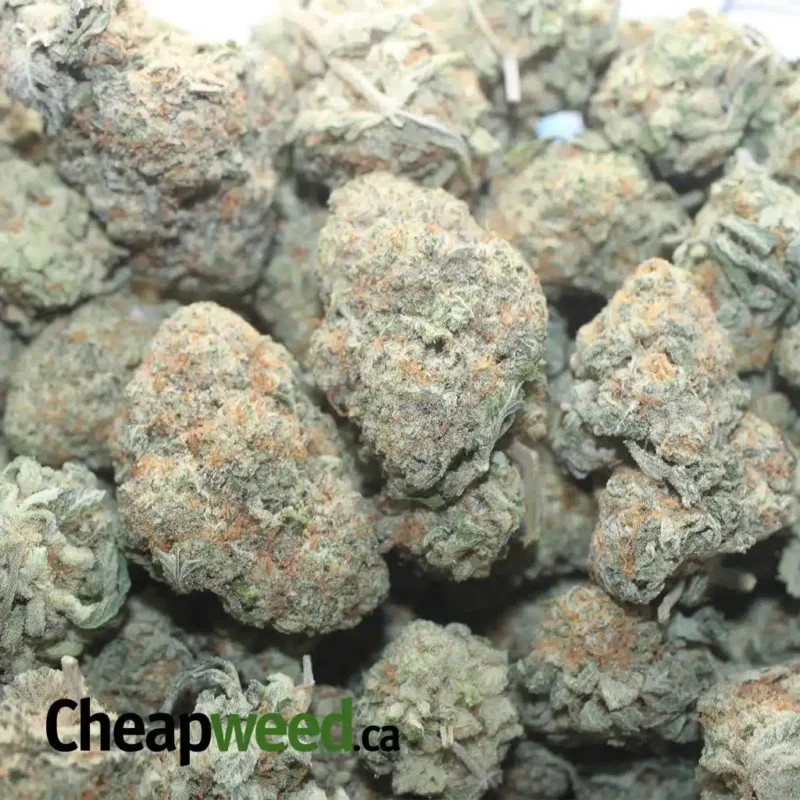 Ice Wine - Image 3