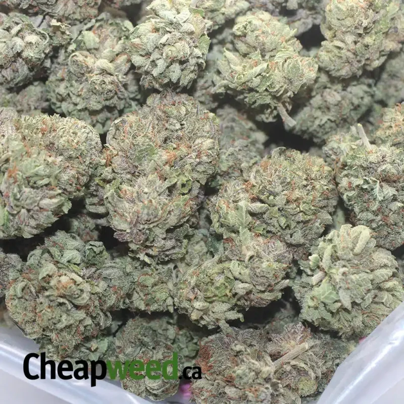 Icewreck - Image 3