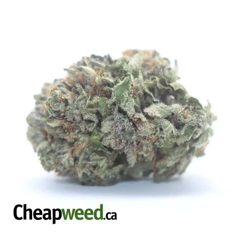Icewreck