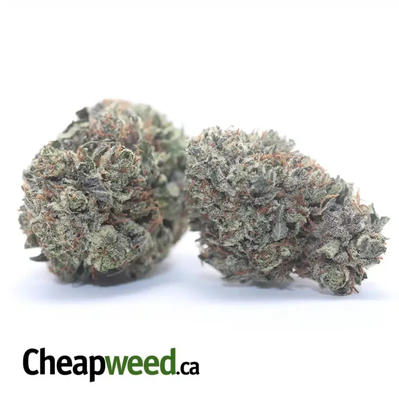 Icewreck - Image 2