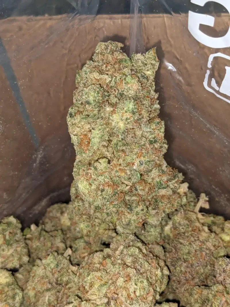 Incredible Hulk - Image 5