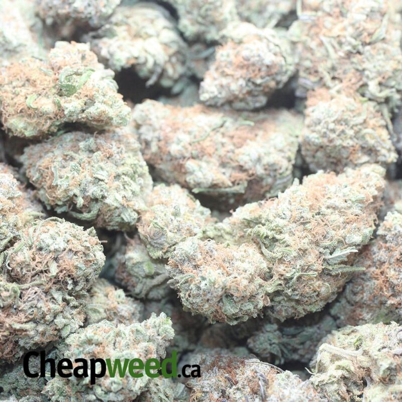 $ 56 Oz – Island Punch - Image 3