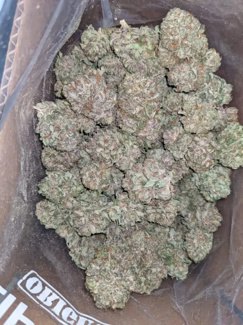 Icewreck - Image 6