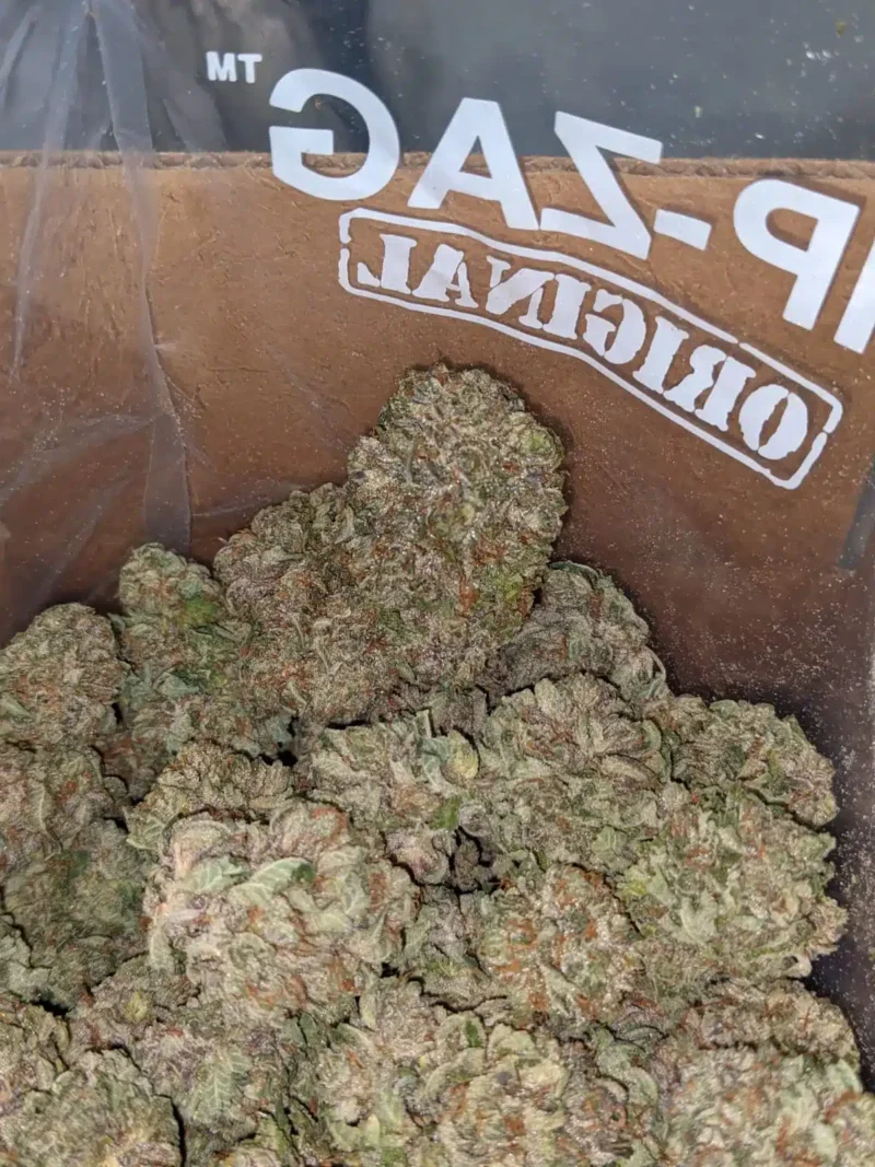 Icewreck - Image 4