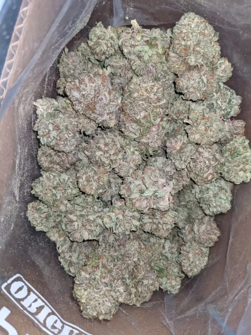 Icewreck - Image 7
