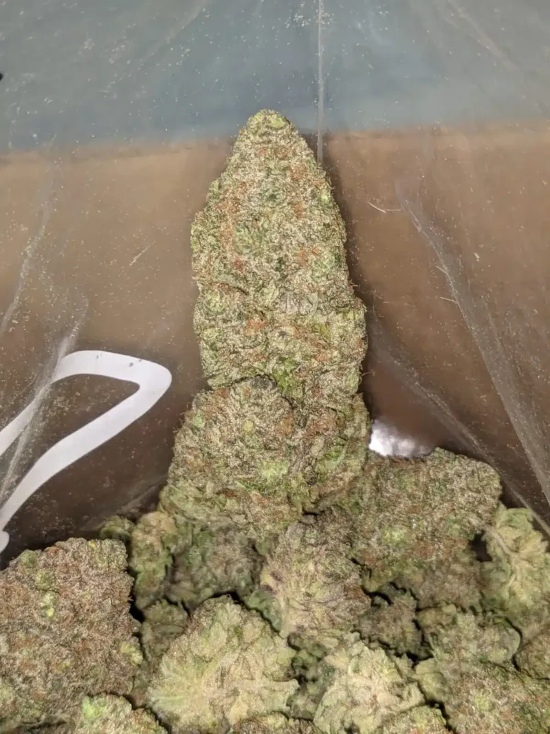 Island Punch - Image 7