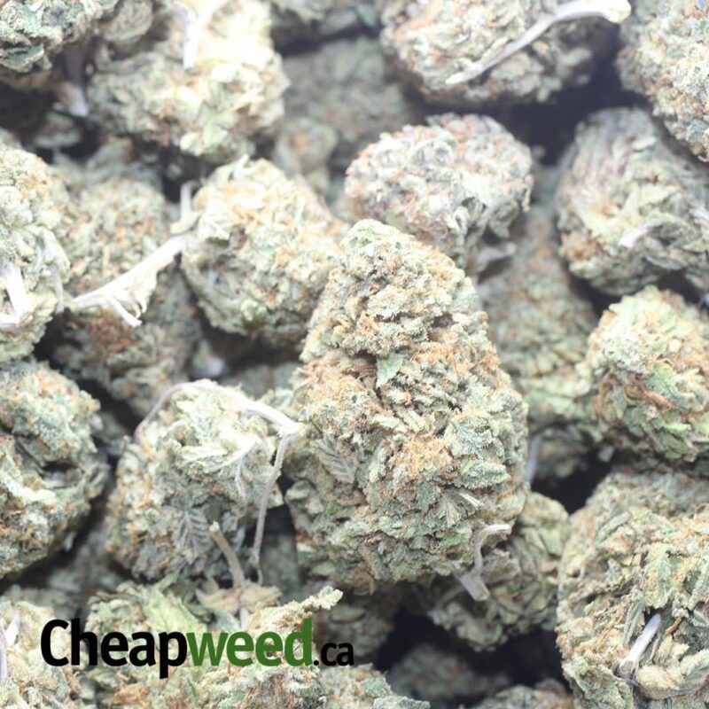 $ 52 Oz – Jack Frost - Image 3