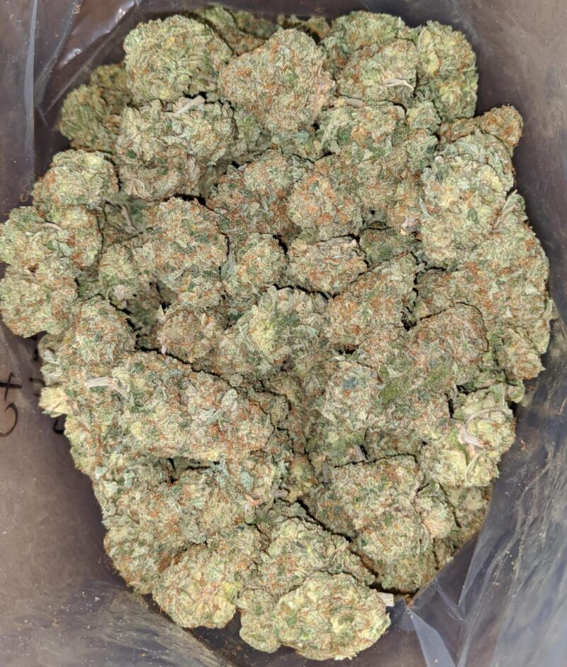 Jelly Breath - Image 2